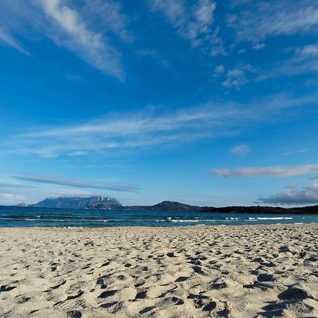 Casa Vacanze Lo Squalo オルビア エクステリア 写真